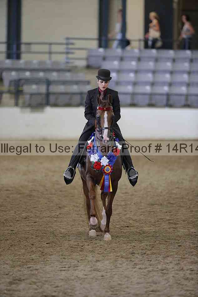 Proof Number 14r14_2520