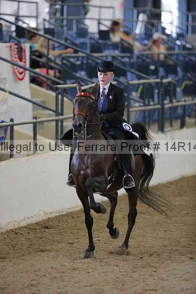 Proof Number 14r14_2529