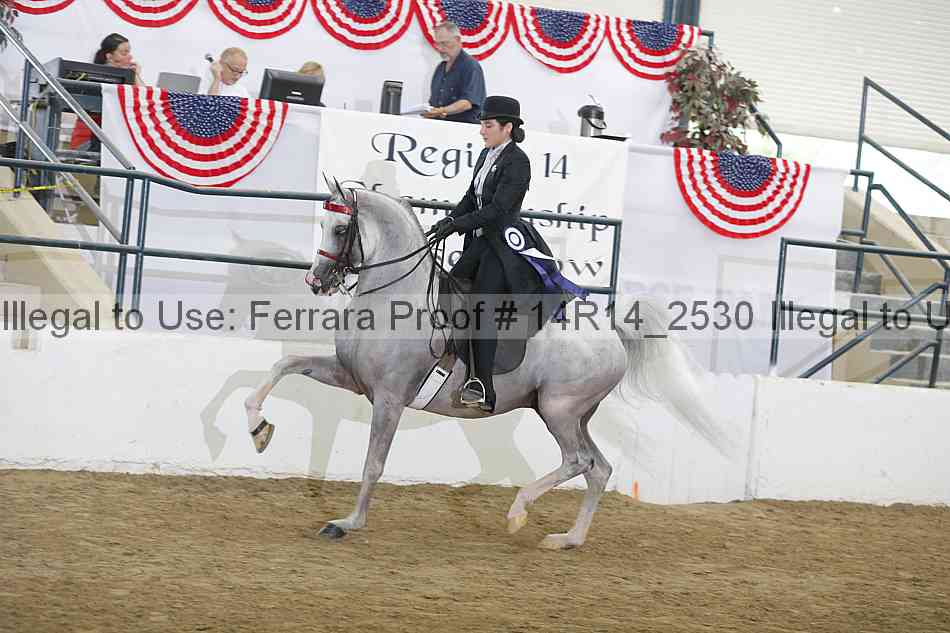 Proof Number 14r14_2530