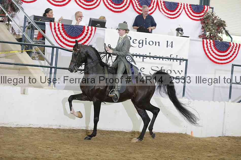 Proof Number 14r14_2533