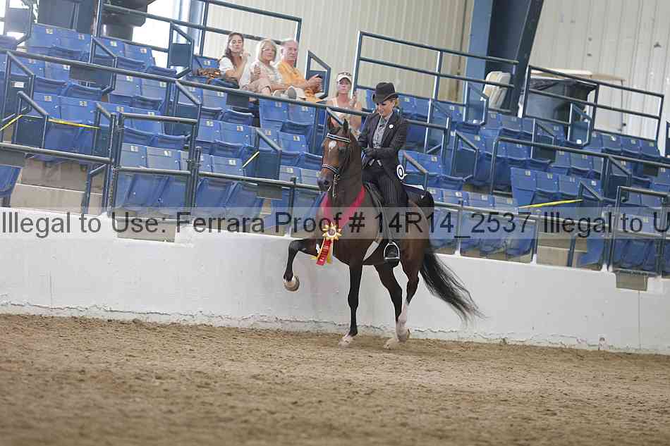Proof Number 14r14_2537