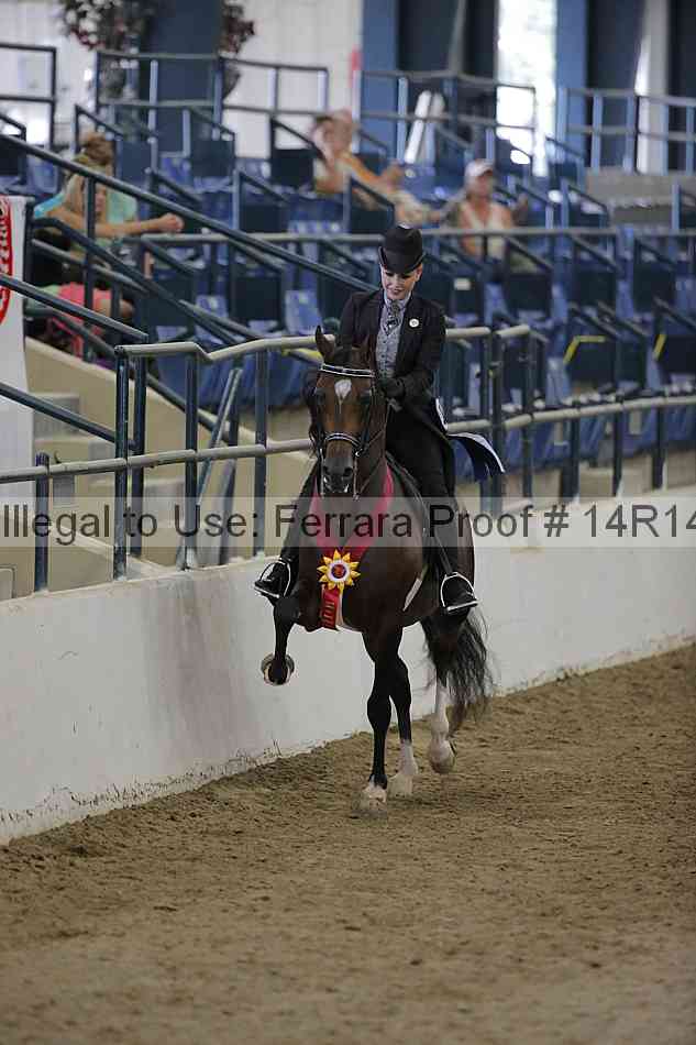Proof Number 14r14_2539