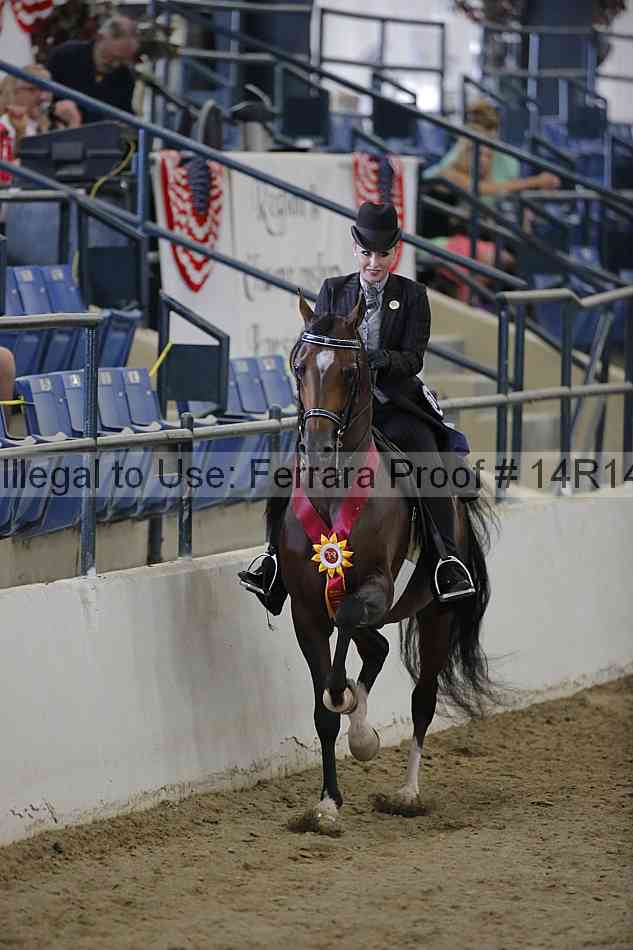 Proof Number 14r14_2540
