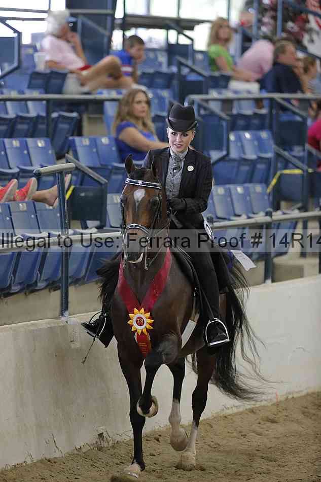 Proof Number 14r14_2541