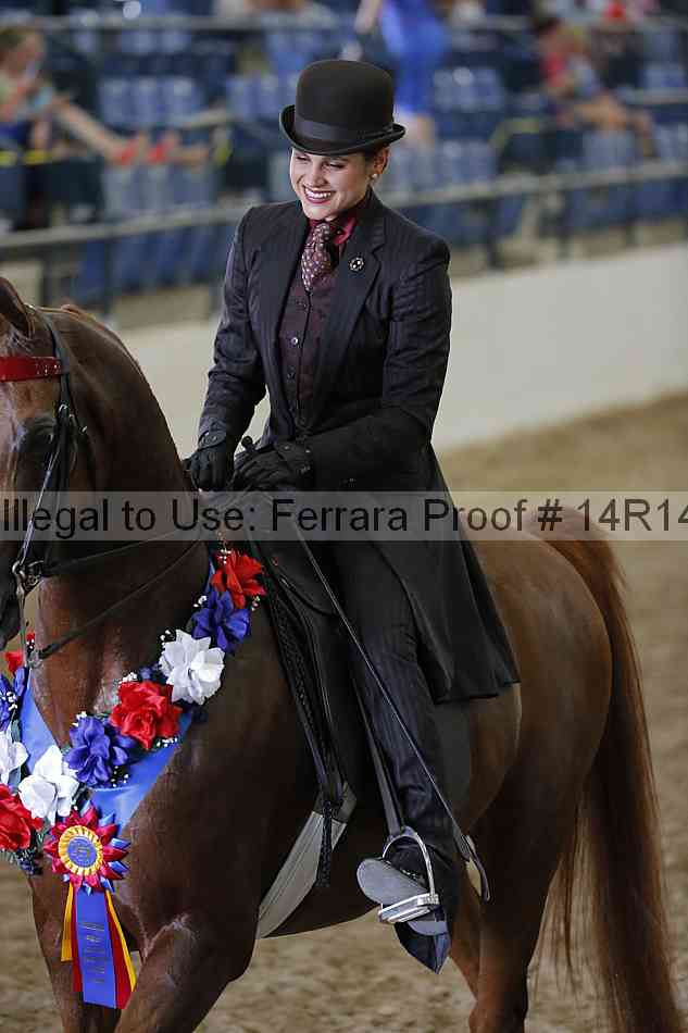 Proof Number 14r14_2545