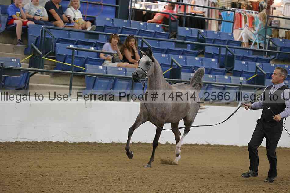 Proof Number 14r14_2566