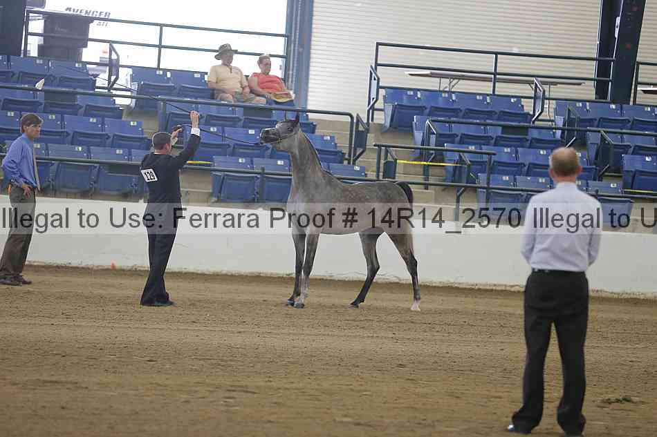 Proof Number 14r14_2570