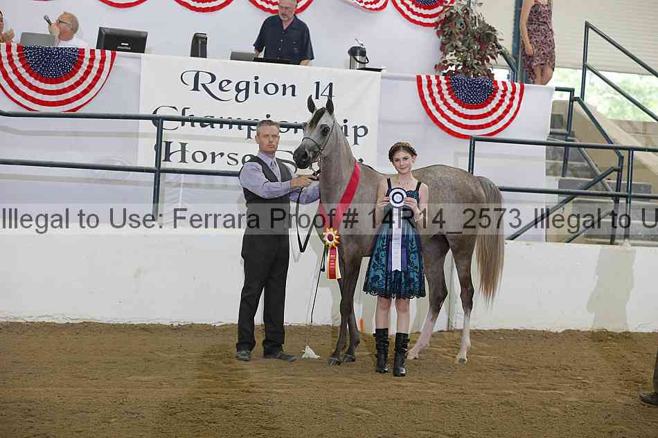 Proof Number 14r14_2573