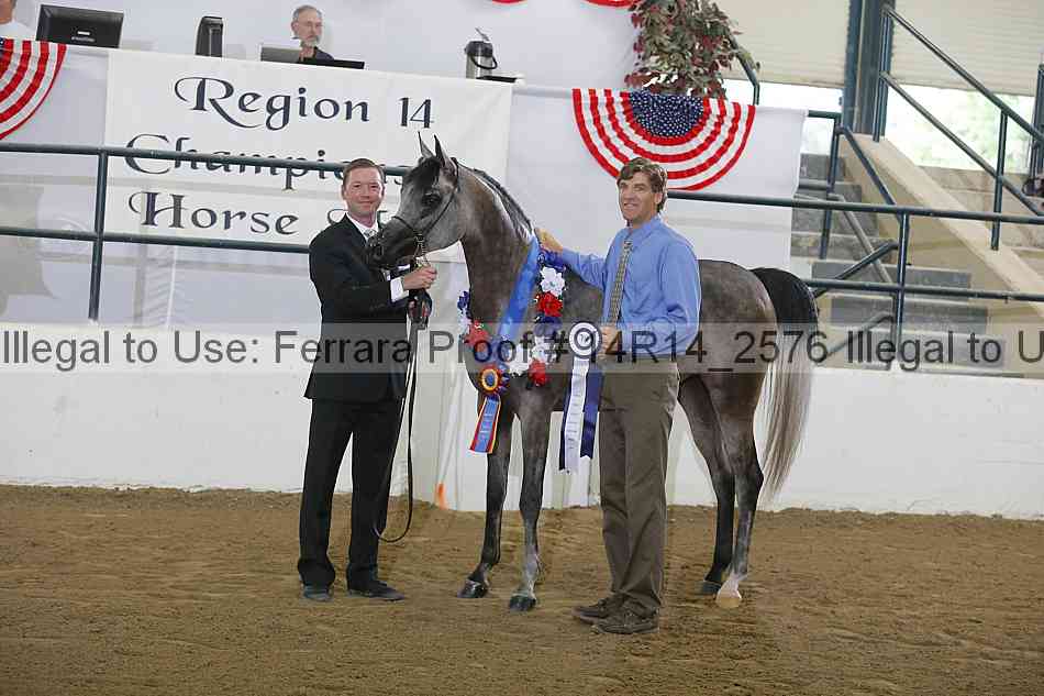Proof Number 14r14_2576