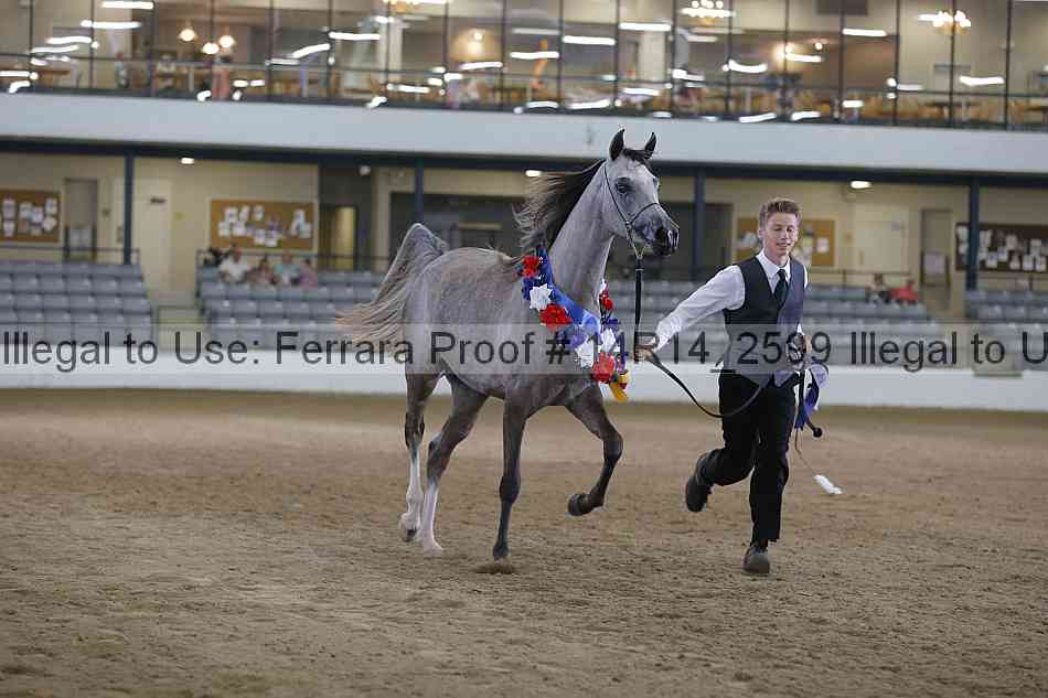 Proof Number 14r14_2599