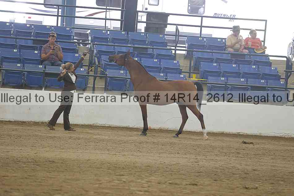Proof Number 14r14_2612