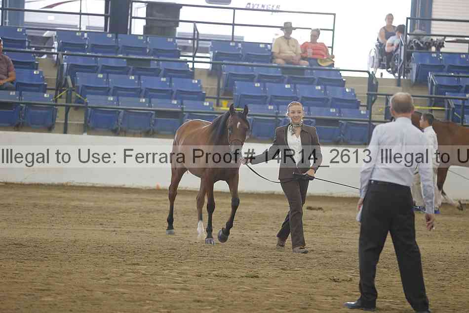 Proof Number 14r14_2613