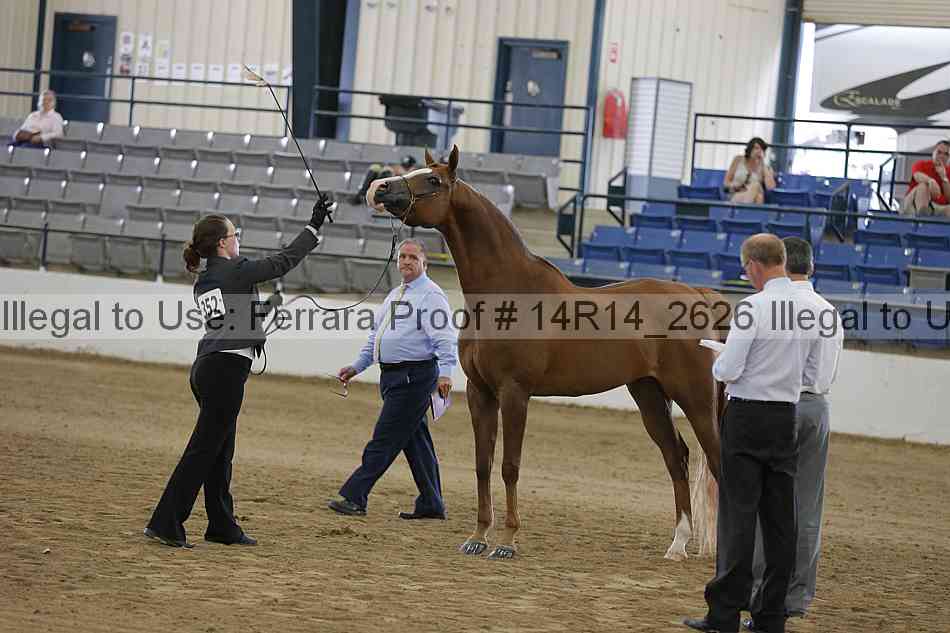 Proof Number 14r14_2626