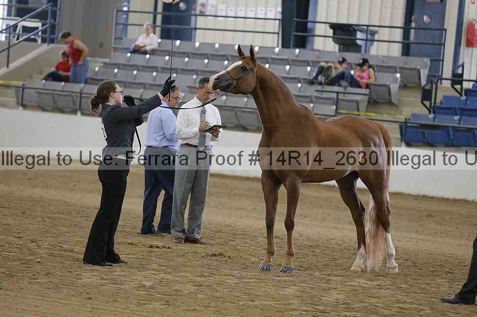 Proof Number 14r14_2630