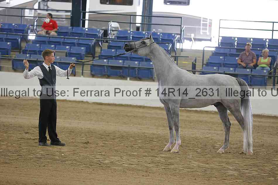 Proof Number 14r14_2631