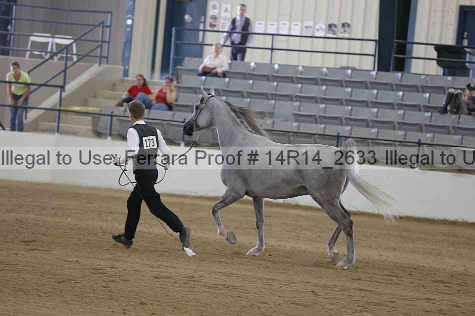 Proof Number 14r14_2633