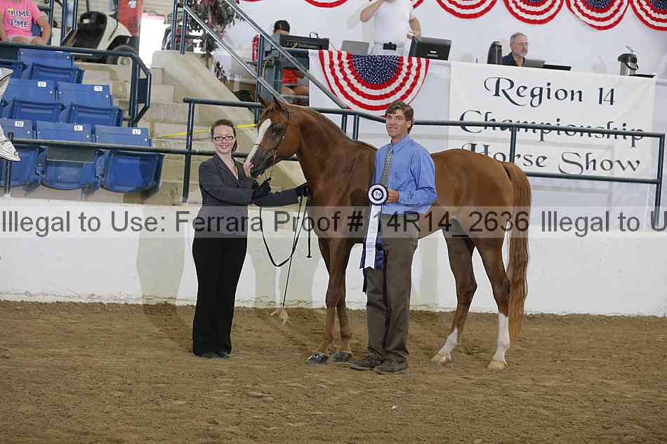 Proof Number 14r14_2636