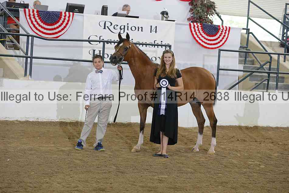 Proof Number 14r14_2638