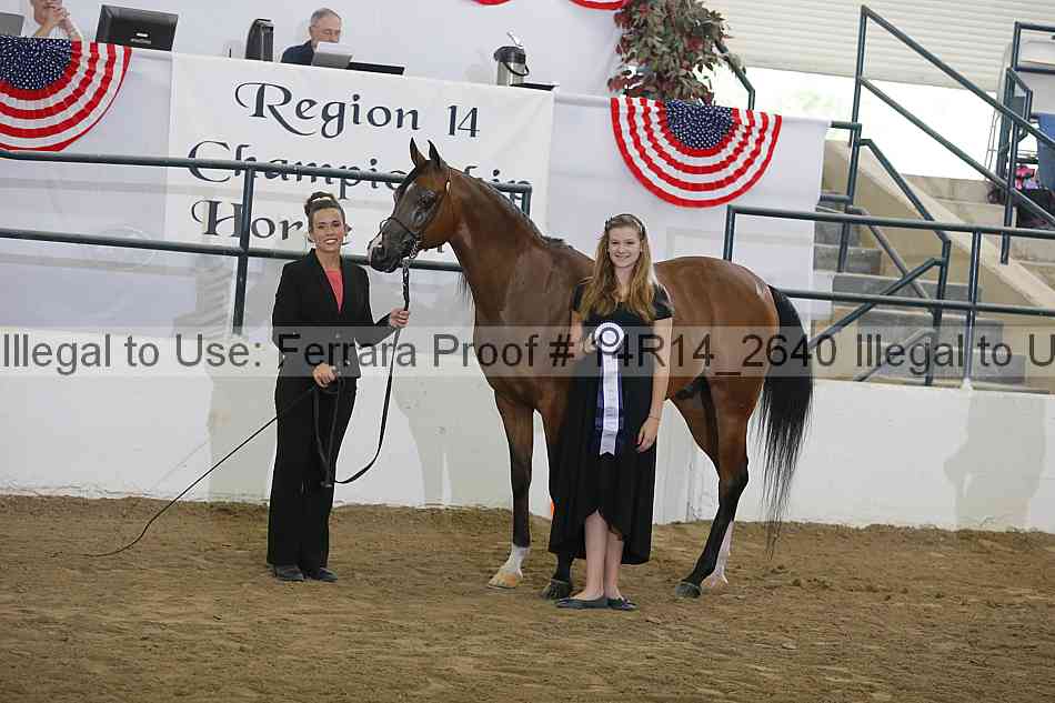 Proof Number 14r14_2640