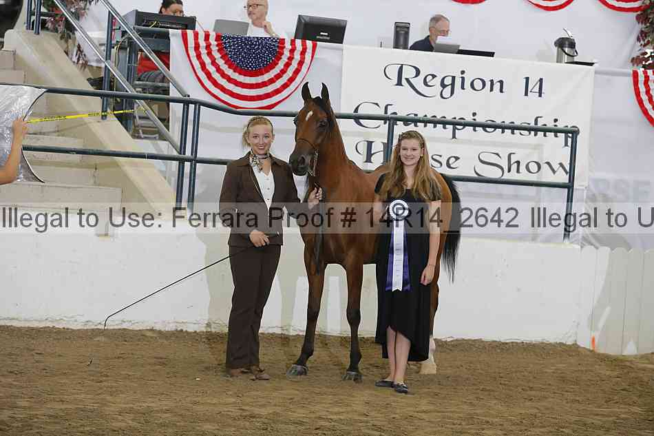 Proof Number 14r14_2642
