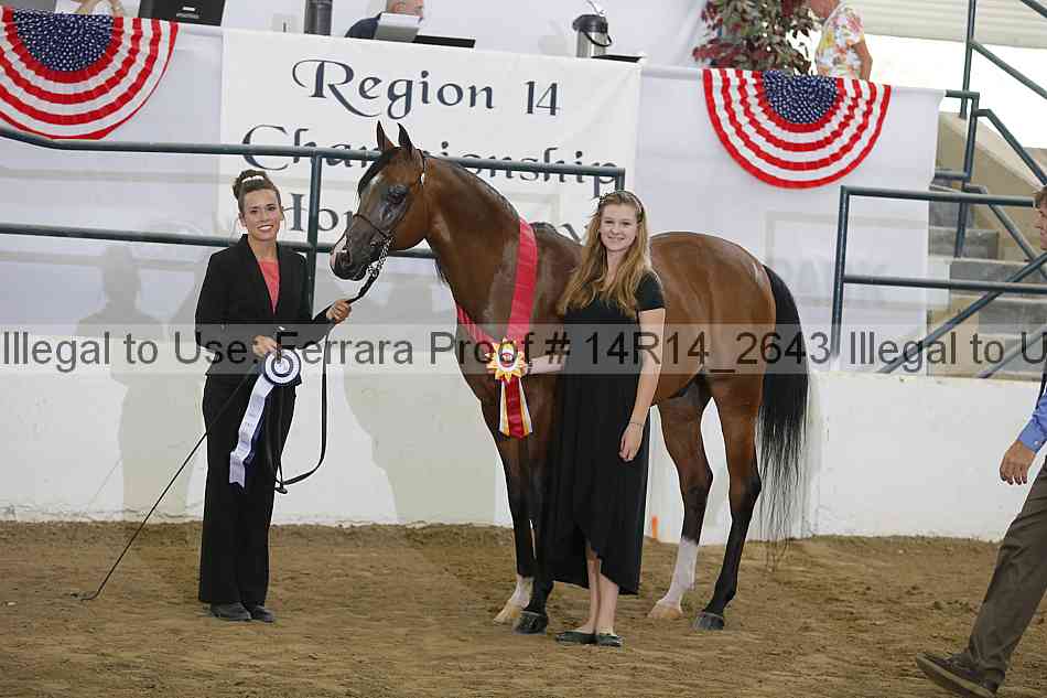 Proof Number 14r14_2643