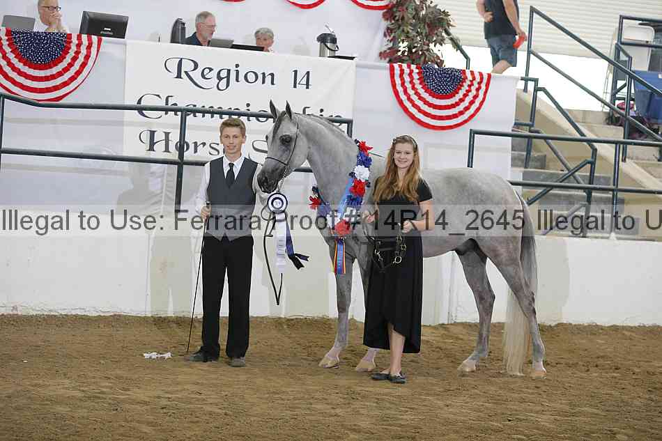 Proof Number 14r14_2645
