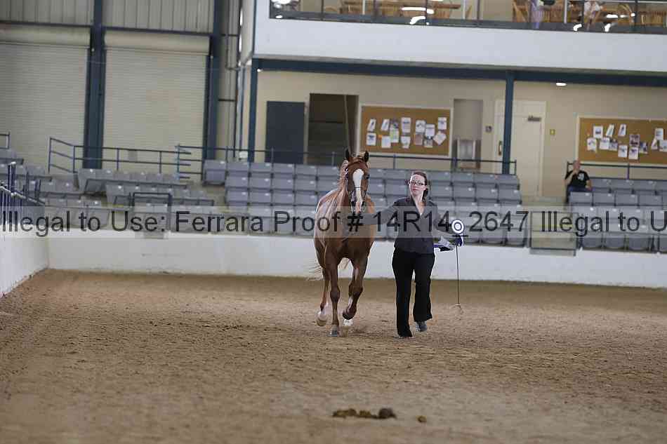 Proof Number 14r14_2647
