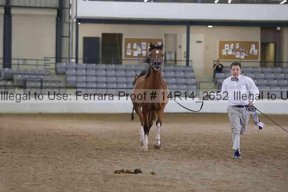 Proof Number 14r14_2652