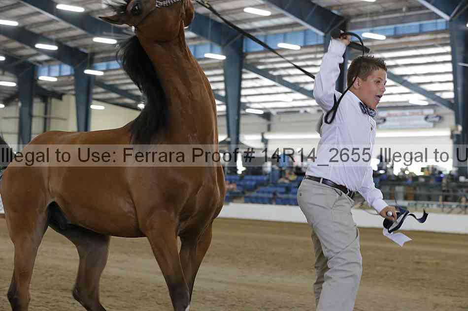 Proof Number 14r14_2655