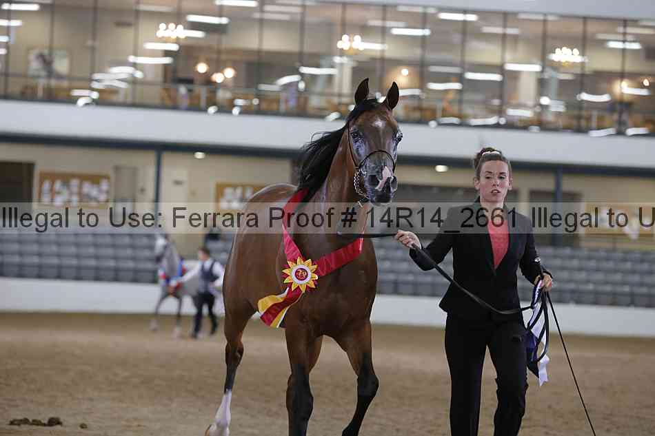 Proof Number 14r14_2661