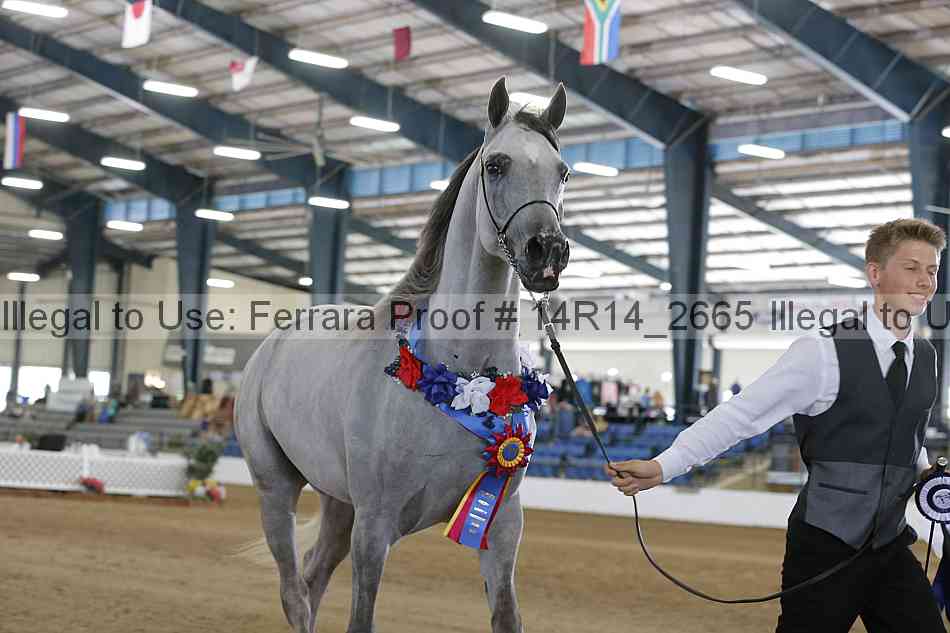 Proof Number 14r14_2665