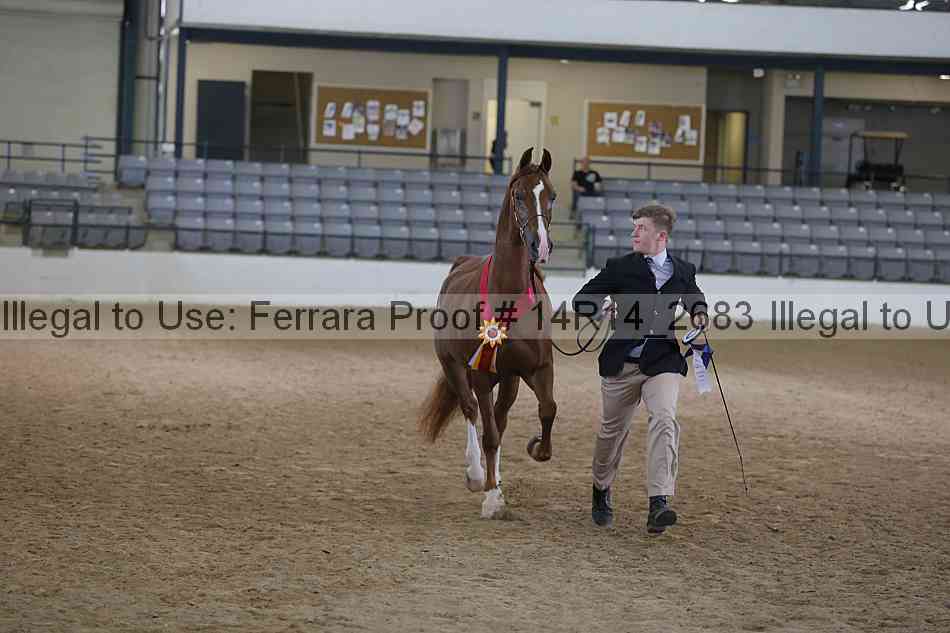 Proof Number 14r14_2683