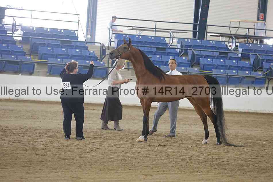 Proof Number 14r14_2703