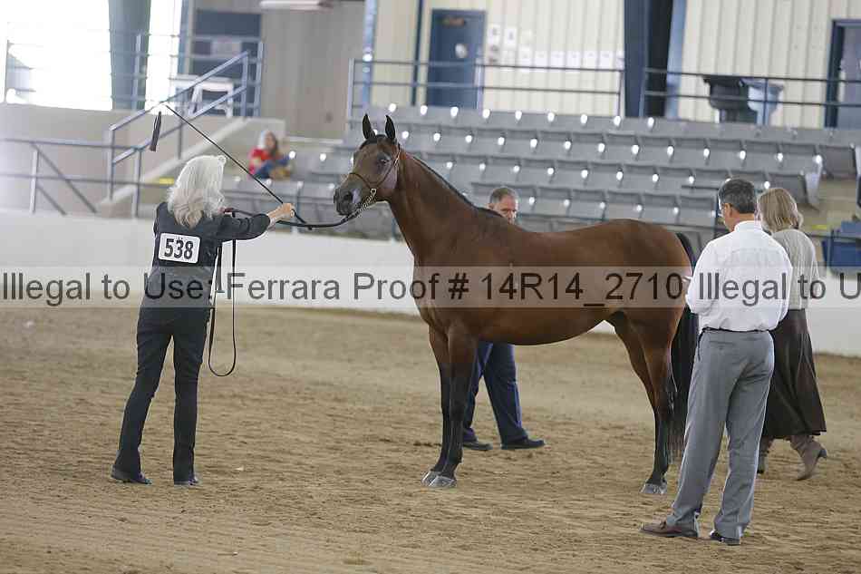 Proof Number 14r14_2710