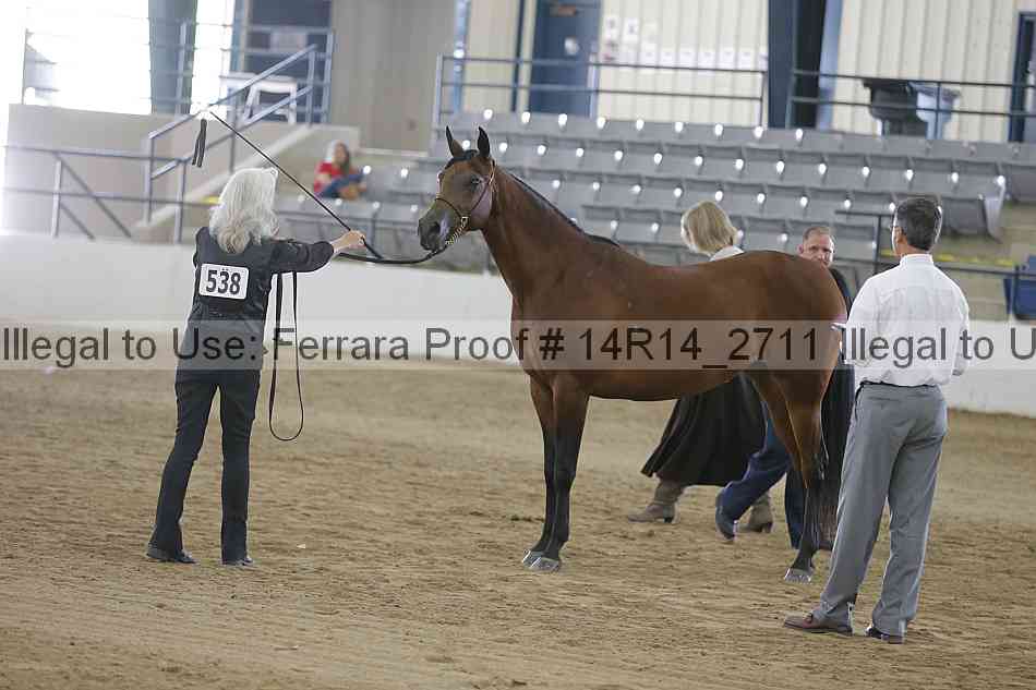 Proof Number 14r14_2711