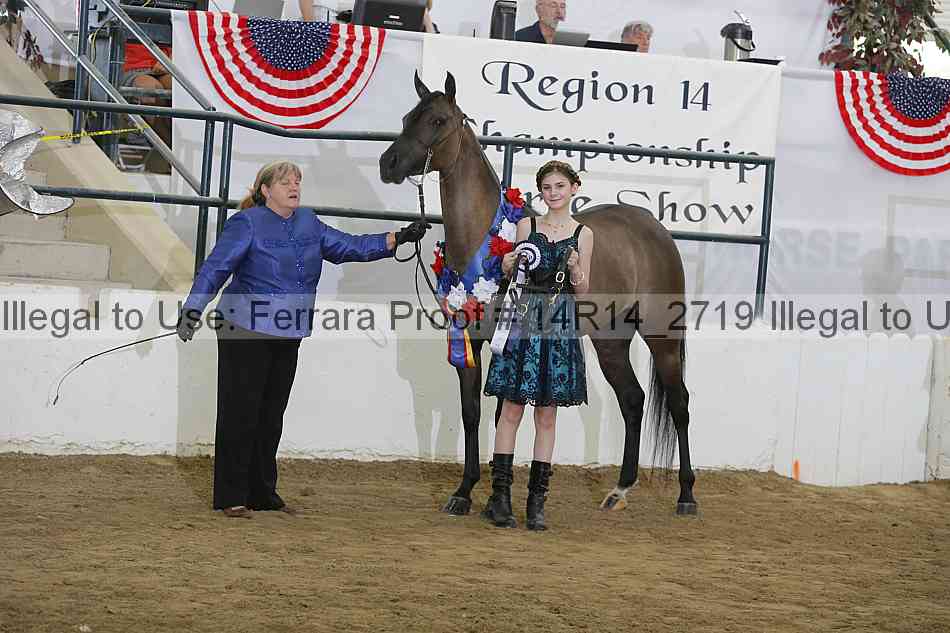 Proof Number 14r14_2719