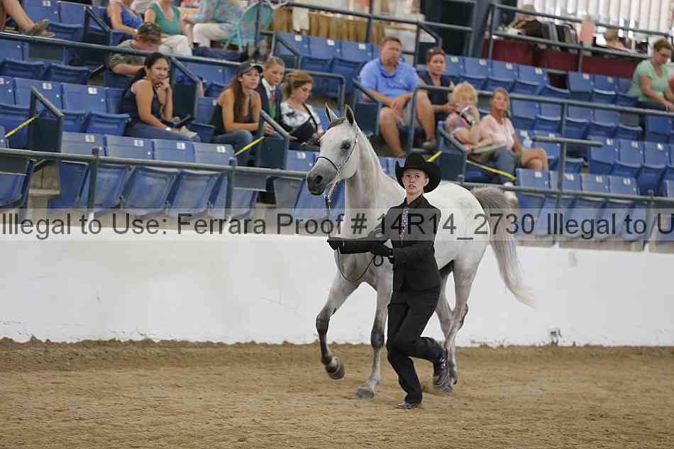 Proof Number 14r14_2730