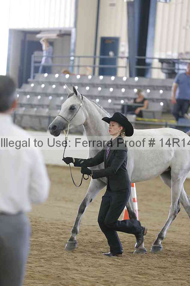 Proof Number 14r14_2743