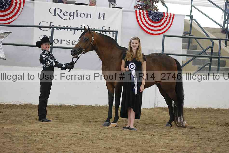 Proof Number 14r14_2746