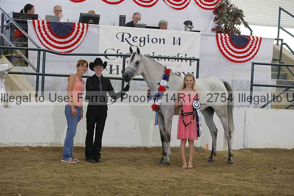 Proof Number 14r14_2754