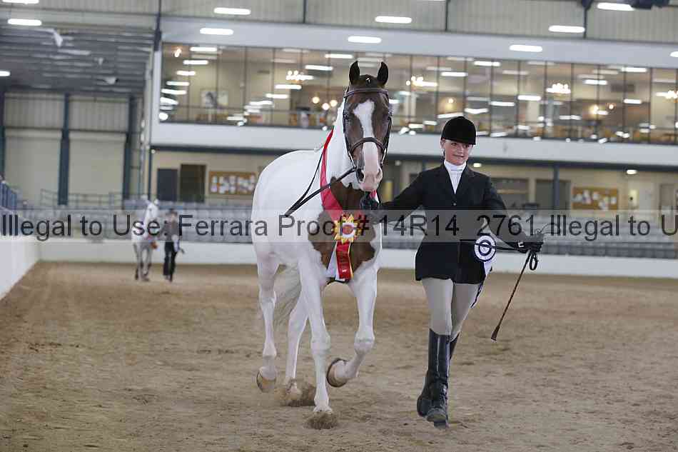 Proof Number 14r14_2761