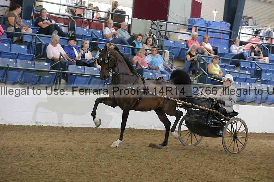 Proof Number 14r14_2766