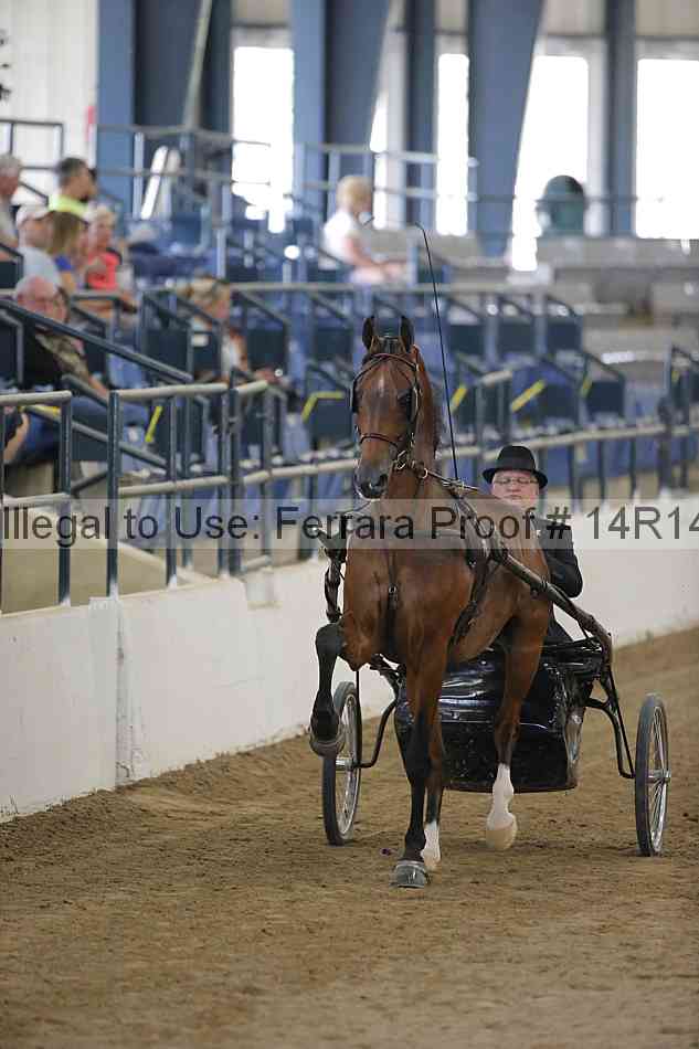 Proof Number 14r14_2769