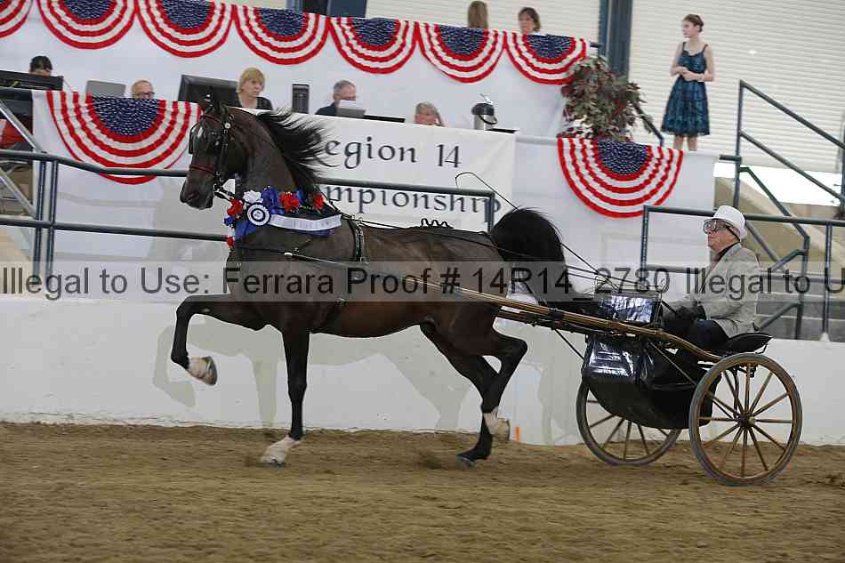Proof Number 14r14_2780