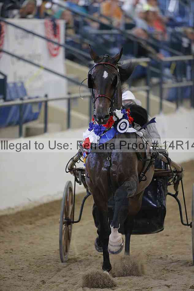 Proof Number 14r14_2782