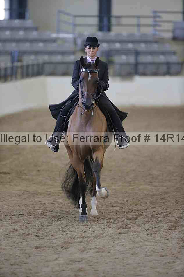 Proof Number 14r14_2787
