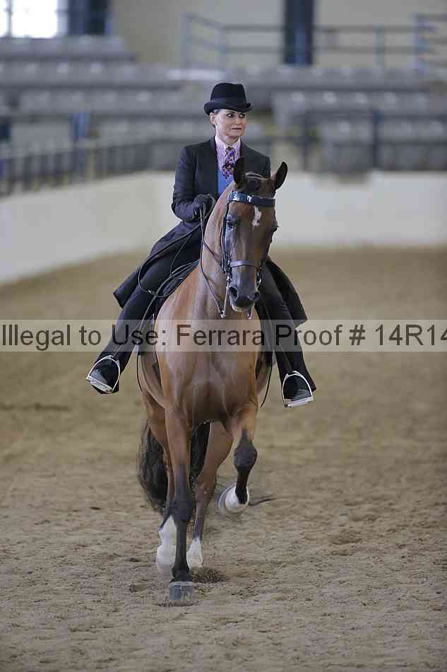 Proof Number 14r14_2788