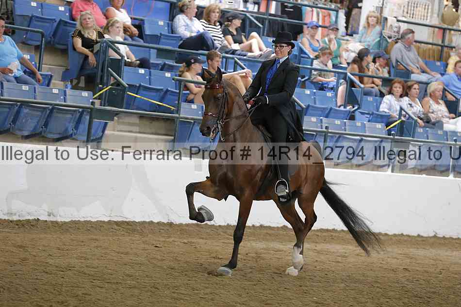 Proof Number 14r14_2794