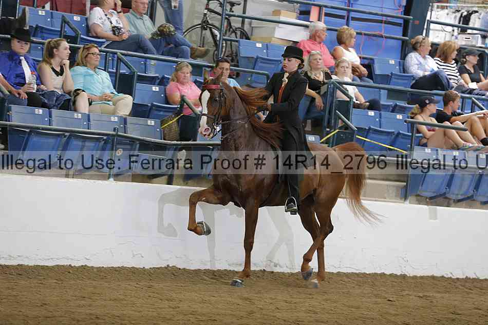 Proof Number 14r14_2796