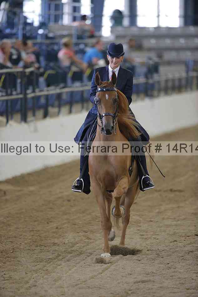 Proof Number 14r14_2804